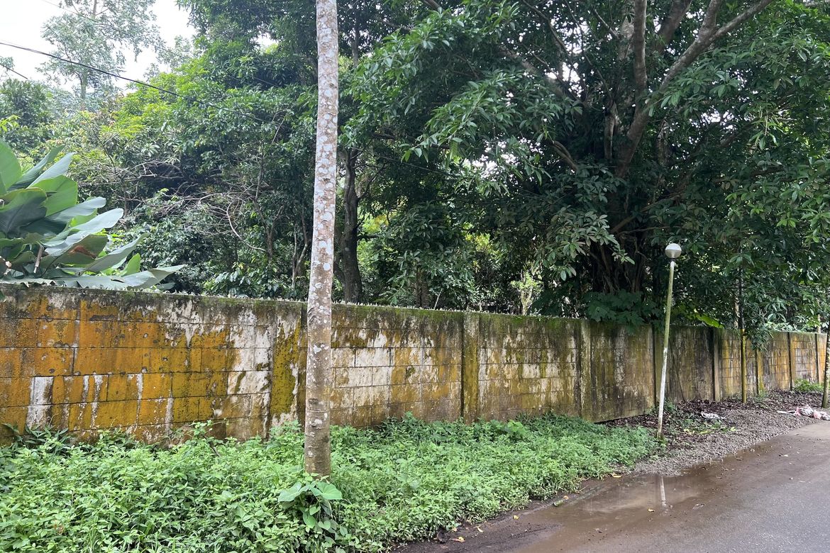 Land for Sale in Luksuhin, Alfonso, Cavite – photo 3