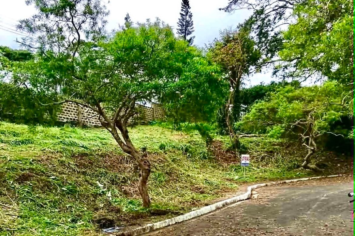 Land for Sale in Luksuhin Ilaya, Alfonso, Cavite
