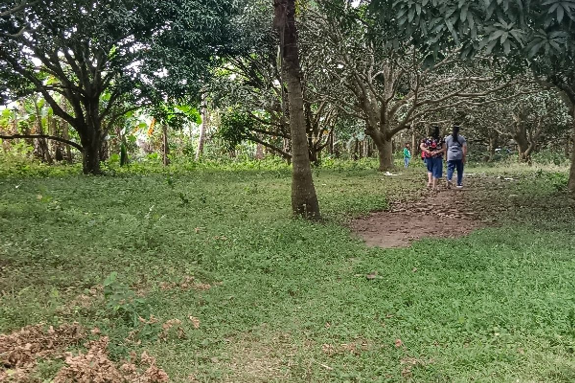 Land for Sale in Lumampong Balagbag, Indang, Cavite – photo 4