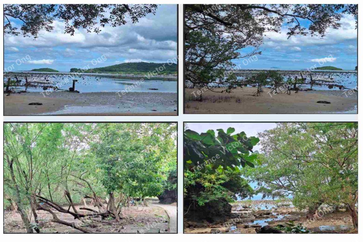 Land for Sale in Lumaniag, Lian, Batangas – photo 2