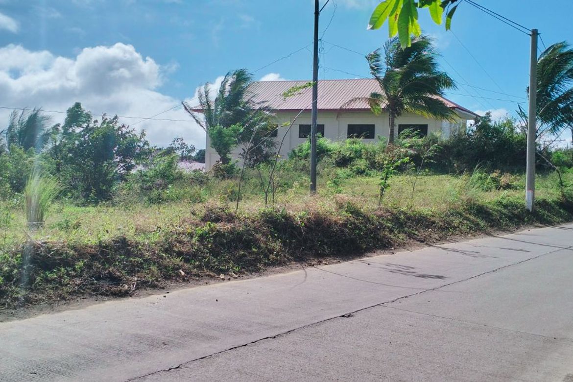 Land for Sale in Lumbang Na Bata, Calaca, Batangas