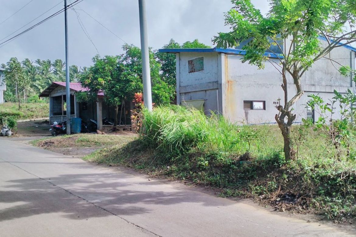 Land for Sale in Lumbang Na Bata, Calaca, Batangas – photo 2