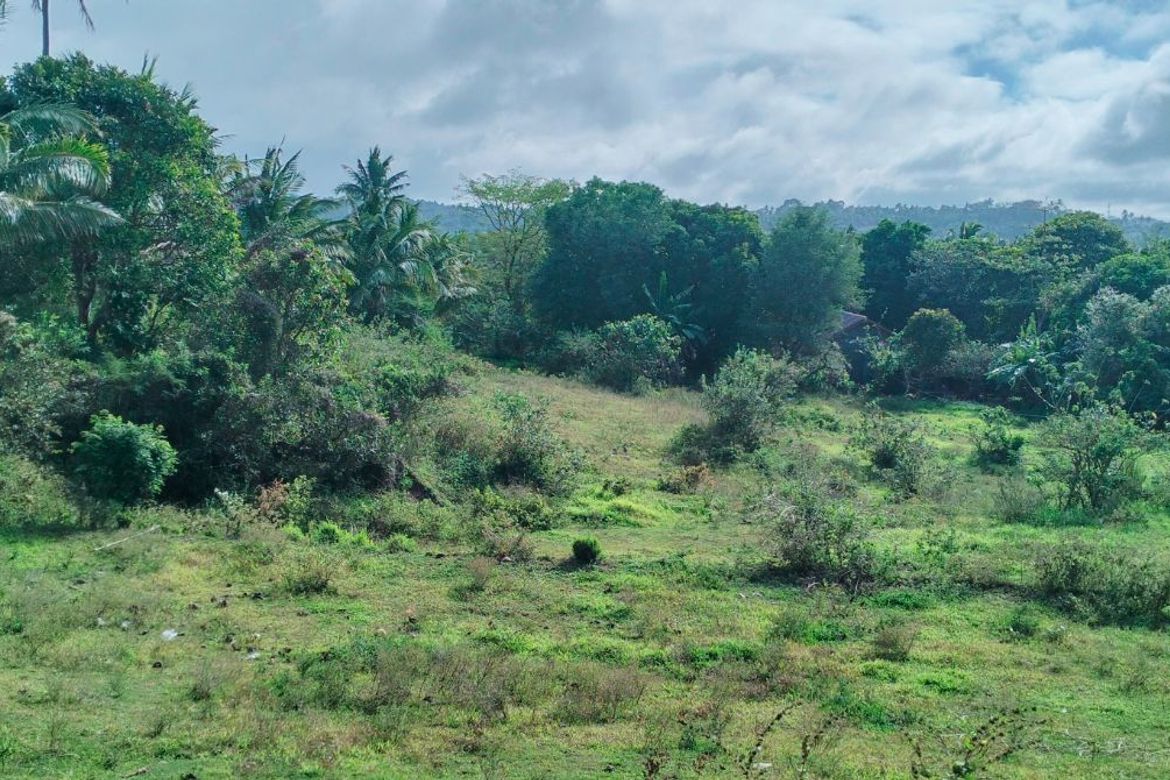 Land for Sale in Lumbang Na Bata, Calaca, Batangas – photo 3