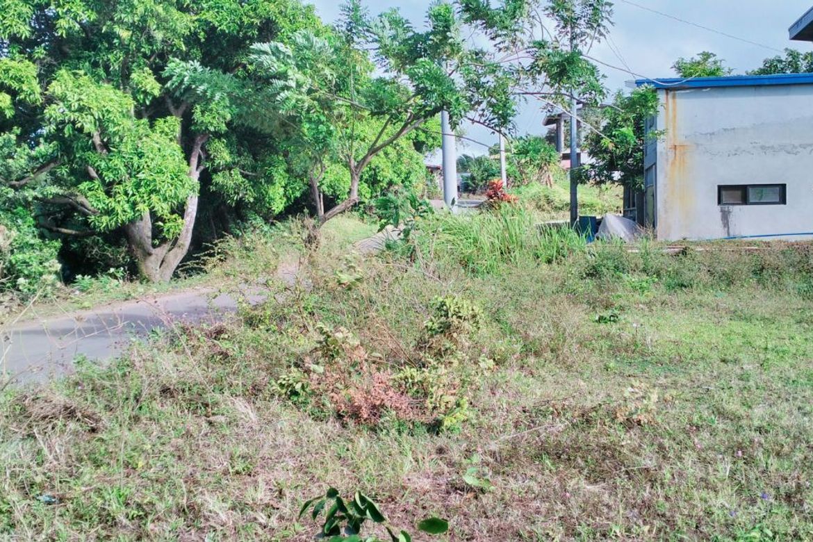 Land for Sale in Lumbang Na Bata, Calaca, Batangas – photo 6