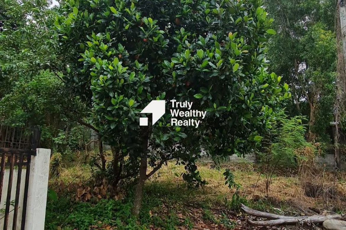 Land for Sale in Lumbia, Cagayan de Oro, Misamis Oriental – photo 2