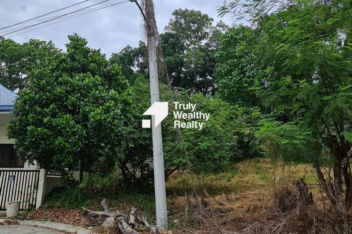 Land for Sale in Lumbia, Cagayan de Oro, Misamis Oriental – photo 3