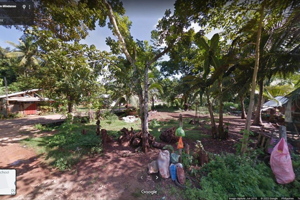 Land for Sale in Lumbia, Cagayan de Oro, Misamis Oriental – photo 4