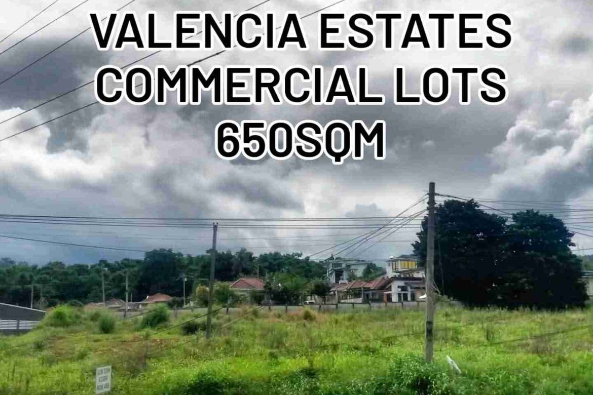 Land for Sale in Lumbo, Valencia, Bukidnon – photo 4