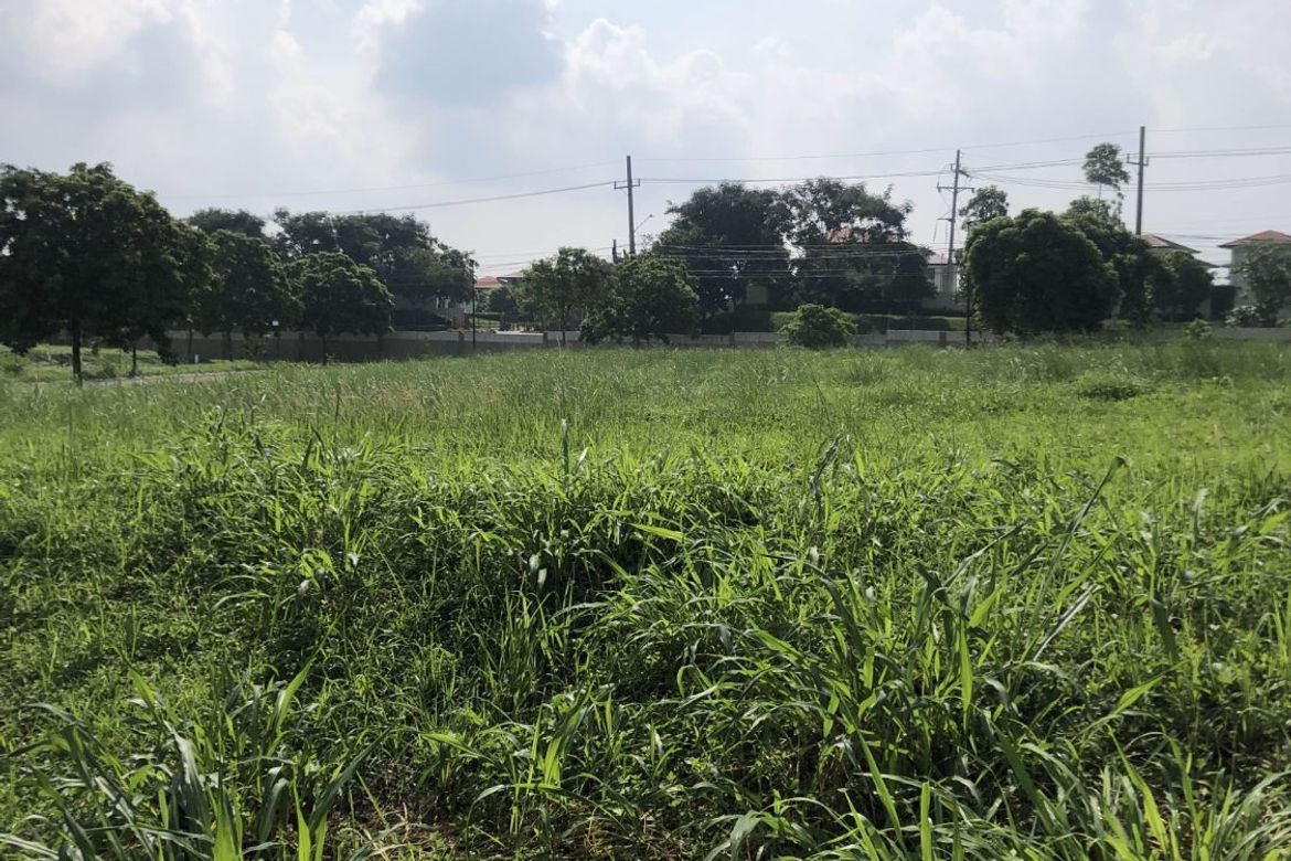 Land for Sale in Lumira Nuvali, Canlubang, Calamba, Laguna – photo 8