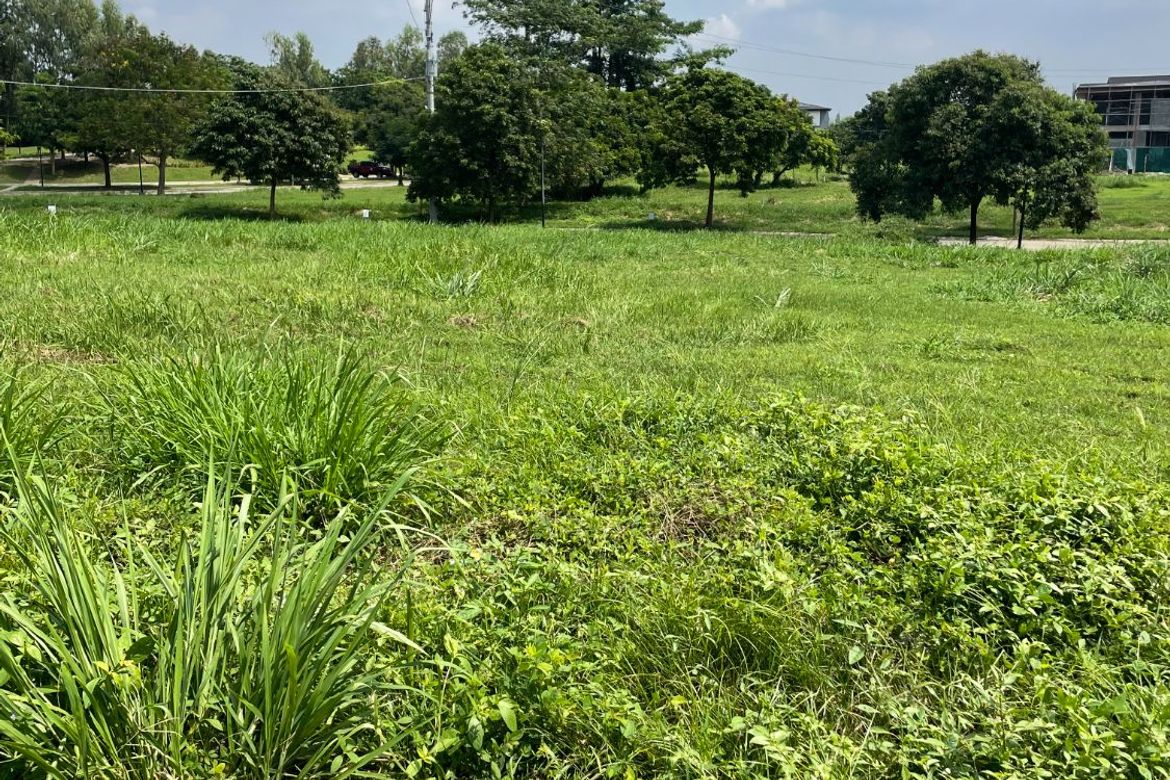 Land for Sale in Lumira Nuvali, Canlubang, Calamba, Laguna – photo 8