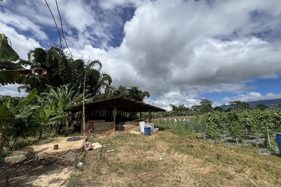 Land for Sale in Luna, Claveria, Misamis Oriental – photo 7