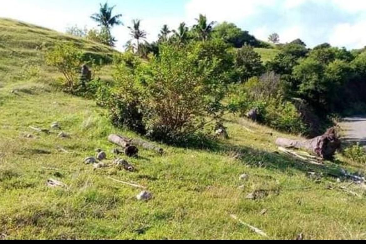 Land for Sale in Lunas, Romblon, Romblon