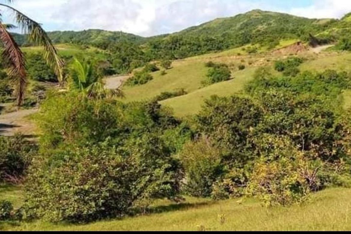 Land for Sale in Lunas, Romblon, Romblon – photo 2