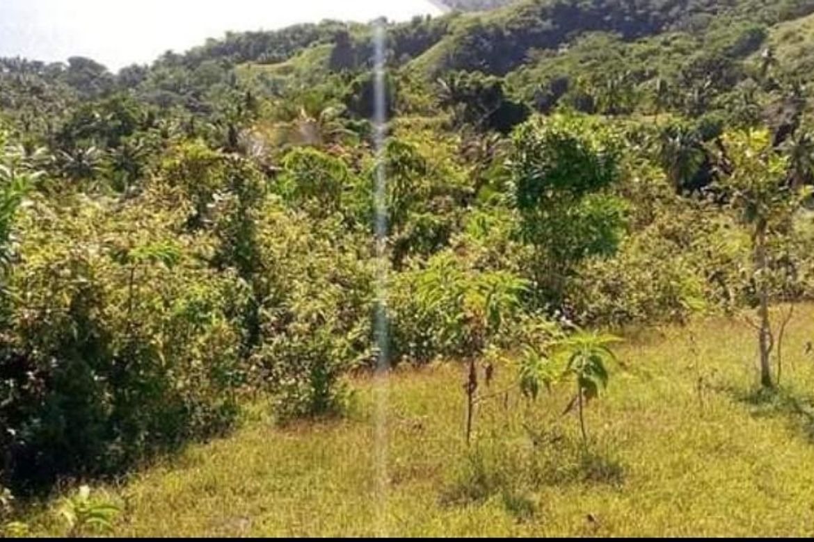 Land for Sale in Lunas, Romblon, Romblon – photo 5