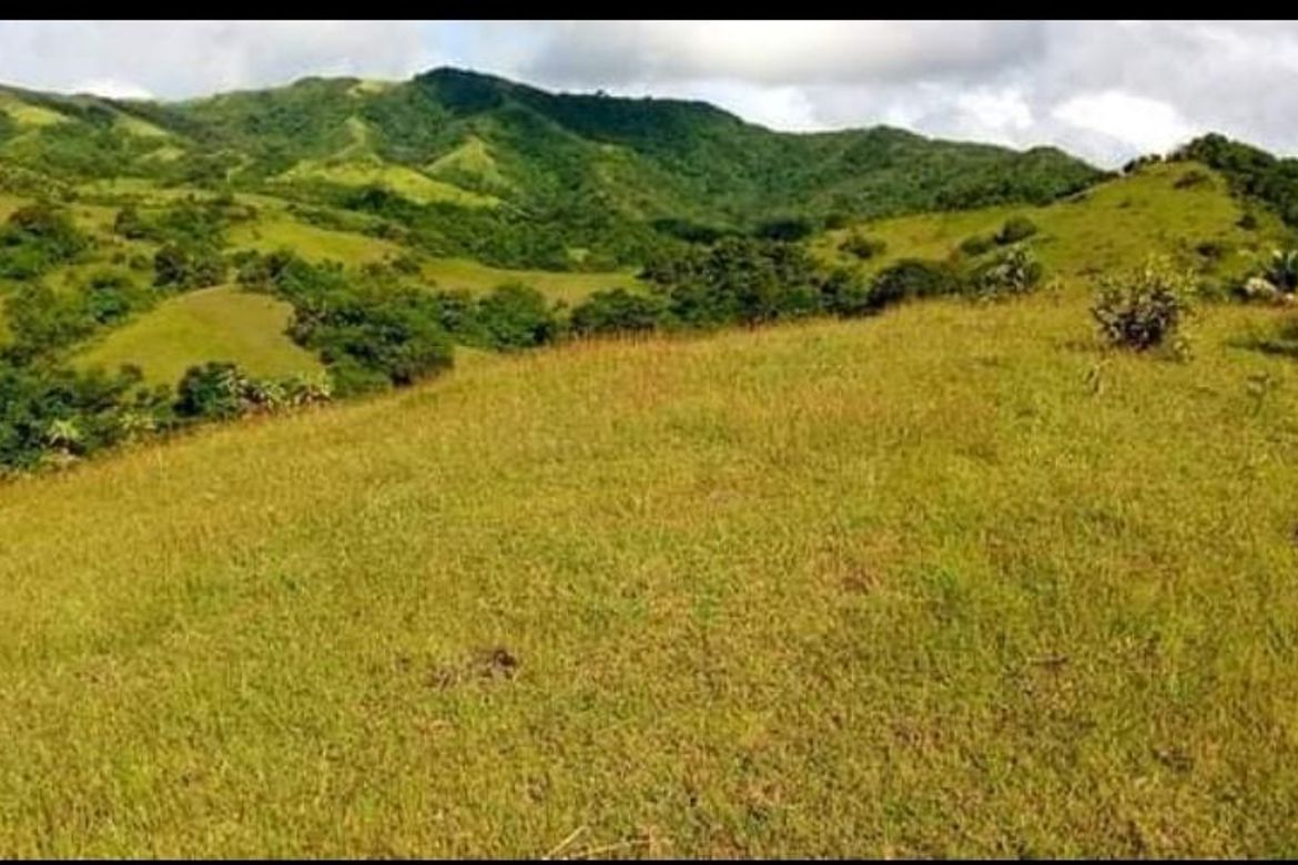 Land for Sale in Lunas, Romblon, Romblon – photo 6
