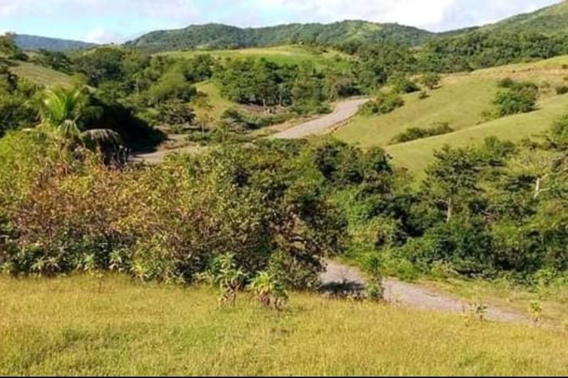 Land for Sale in Lunas, Romblon, Romblon – photo 7
