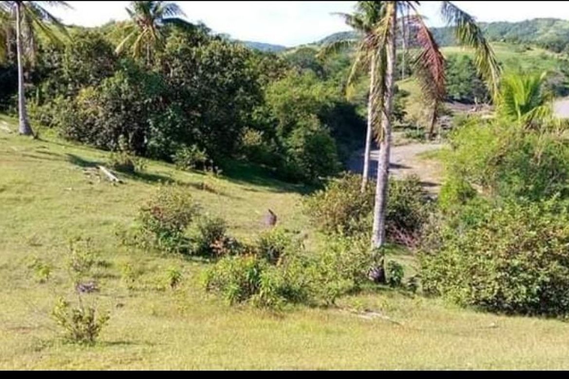 Land for Sale in Lunas, Romblon, Romblon – photo 8