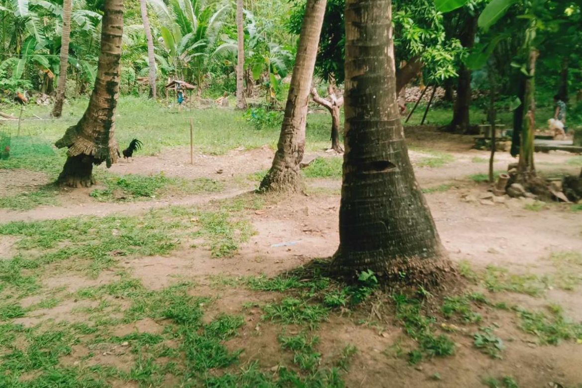 Land for Sale in Lunas, Romblon, Romblon