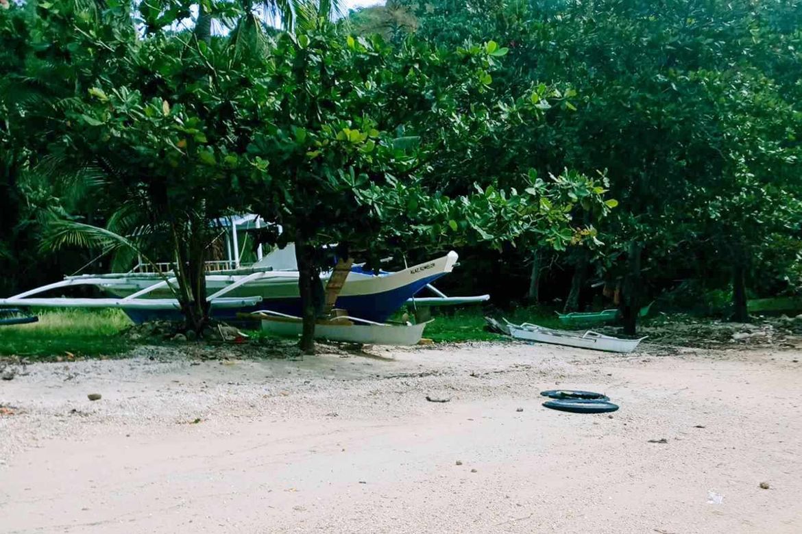 Land for Sale in Lunas, Romblon, Romblon – photo 2