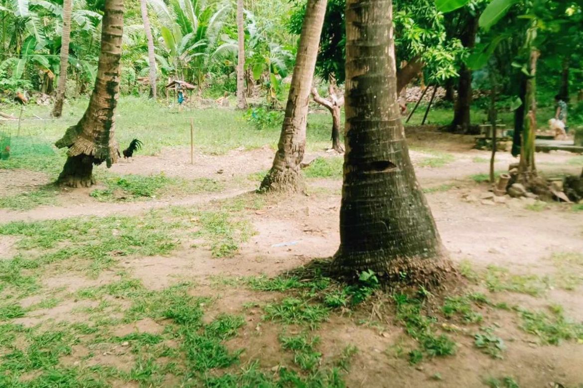 Land for Sale in Lunas, Romblon, Romblon – photo 3