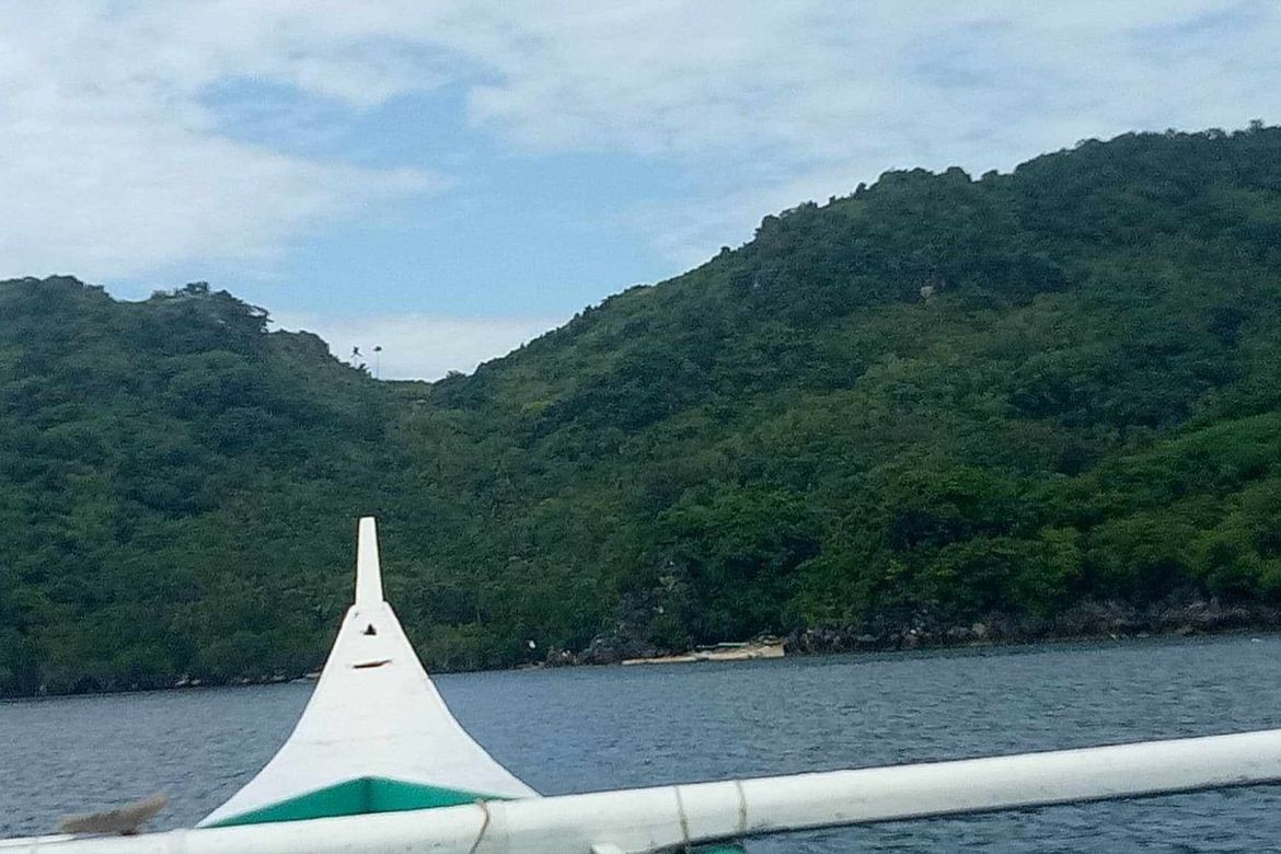 Land for Sale in Lunas, Romblon, Romblon – photo 5