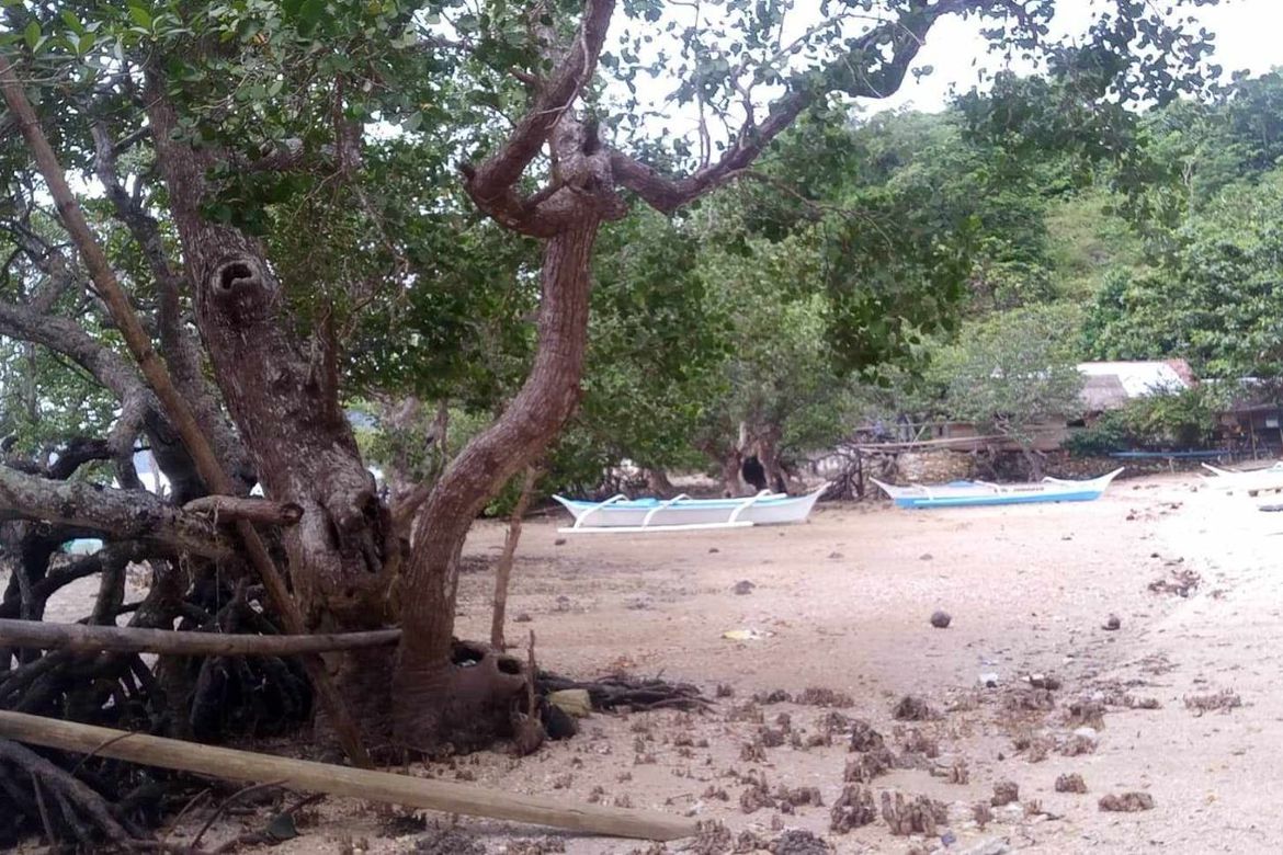 Land for Sale in Lunas, Romblon, Romblon – photo 6