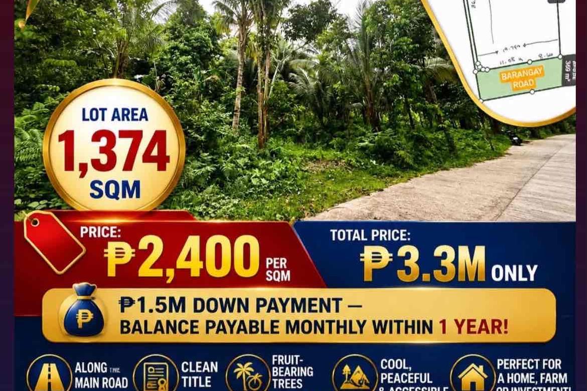 Land for Sale in Lunga, Valencia, Negros Oriental – photo 2