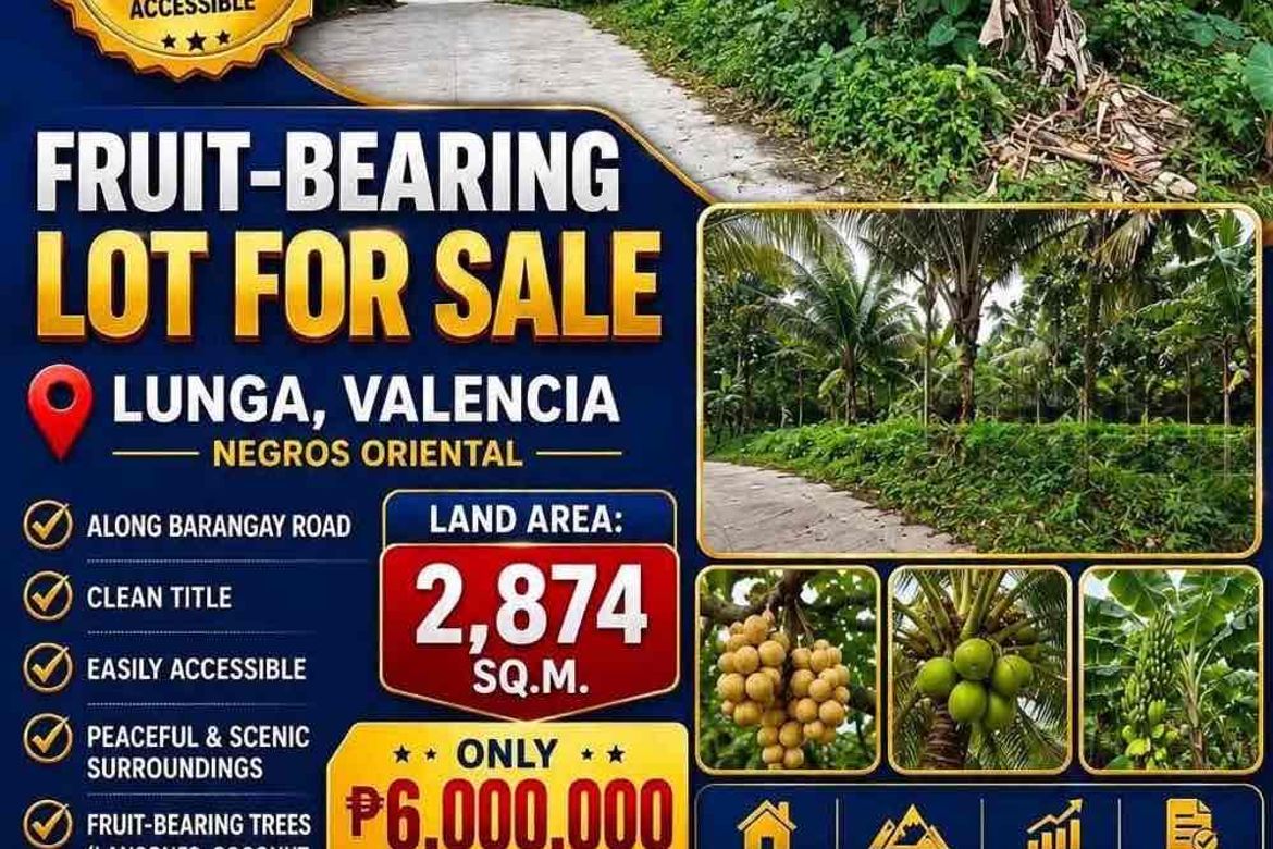 Land for Sale in Lunga, Valencia, Negros Oriental – photo 3