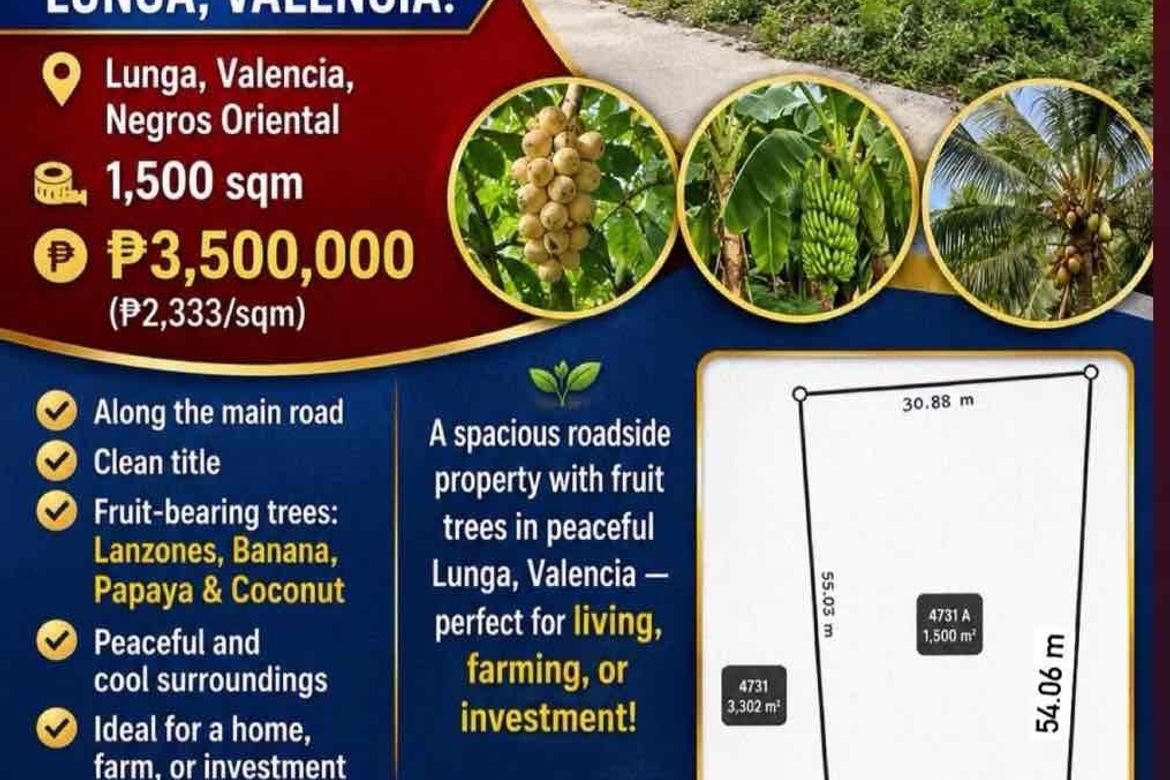 Land for Sale in Lunga, Valencia, Negros Oriental – photo 4