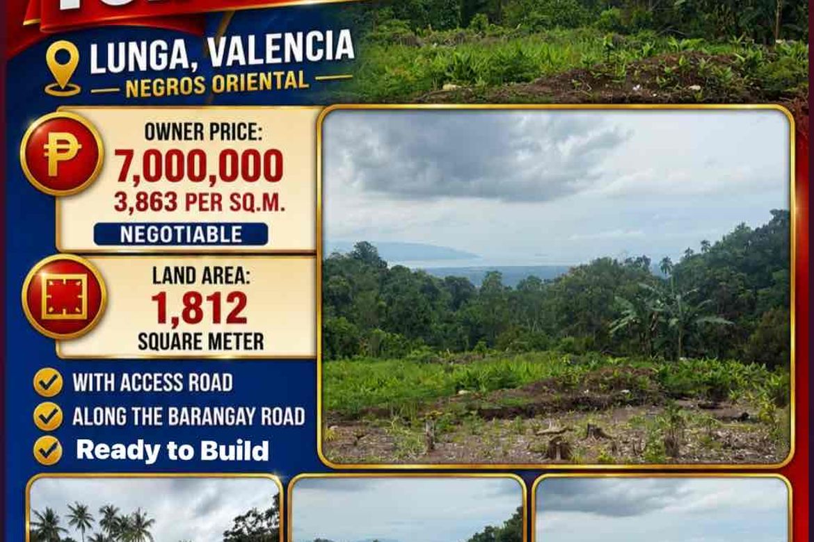 Land for Sale in Lunga, Valencia, Negros Oriental – photo 5
