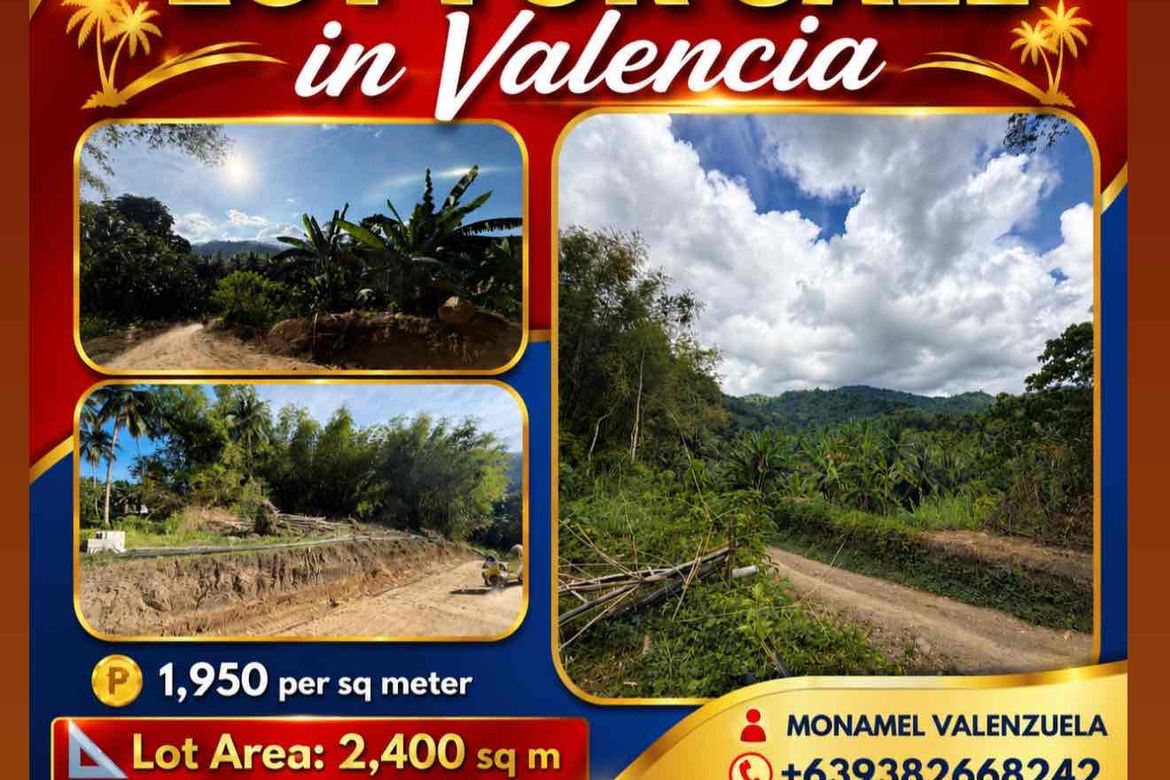 Land for Sale in Lunga, Valencia, Negros Oriental – photo 7