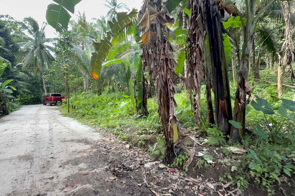 Land for Sale in Lunga, Valencia, Negros Oriental