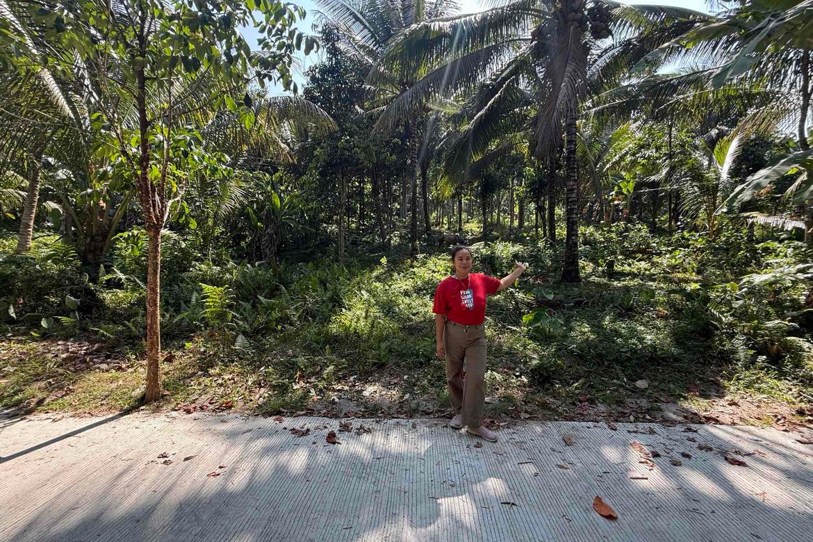 Land for Sale in Lunga, Valencia, Negros Oriental – photo 3