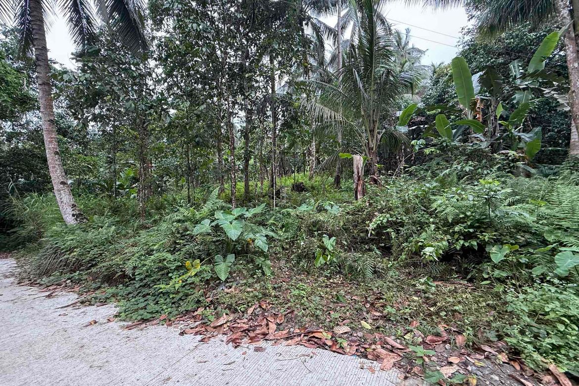 Land for Sale in Lunga, Valencia, Negros Oriental – photo 4