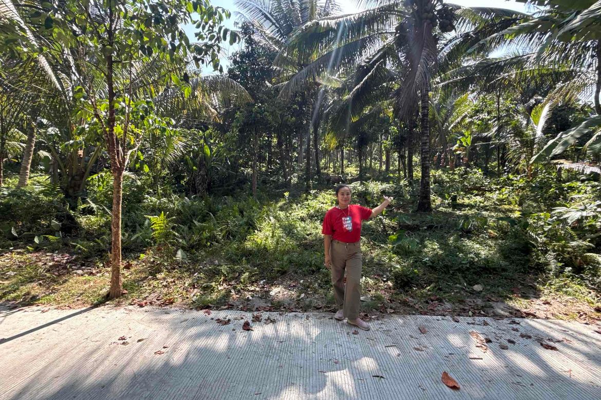 Land for Sale in Lunga, Valencia, Negros Oriental – photo 5