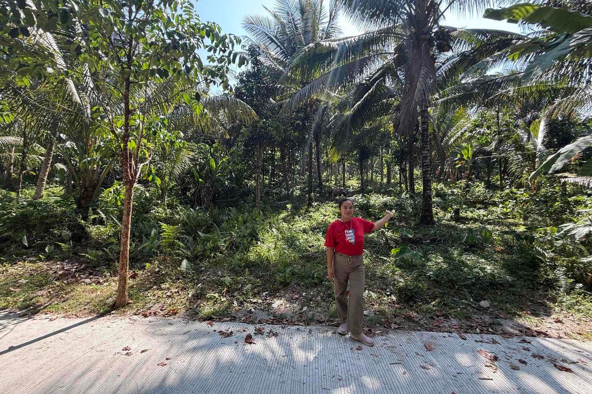 Land for Sale in Lunga, Valencia, Negros Oriental – photo 4