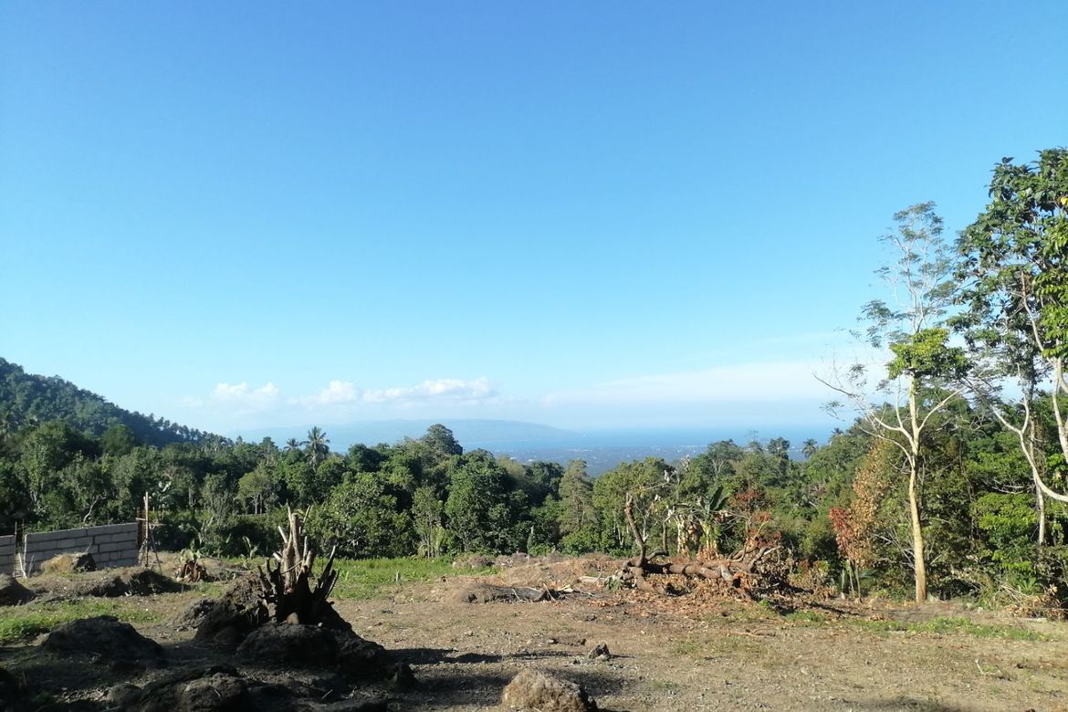 Land for Sale in Lunga, Valencia, Negros Oriental