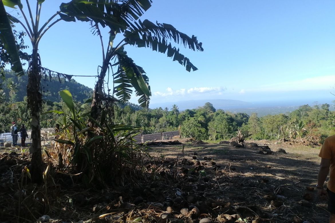 Land for Sale in Lunga, Valencia, Negros Oriental – photo 2