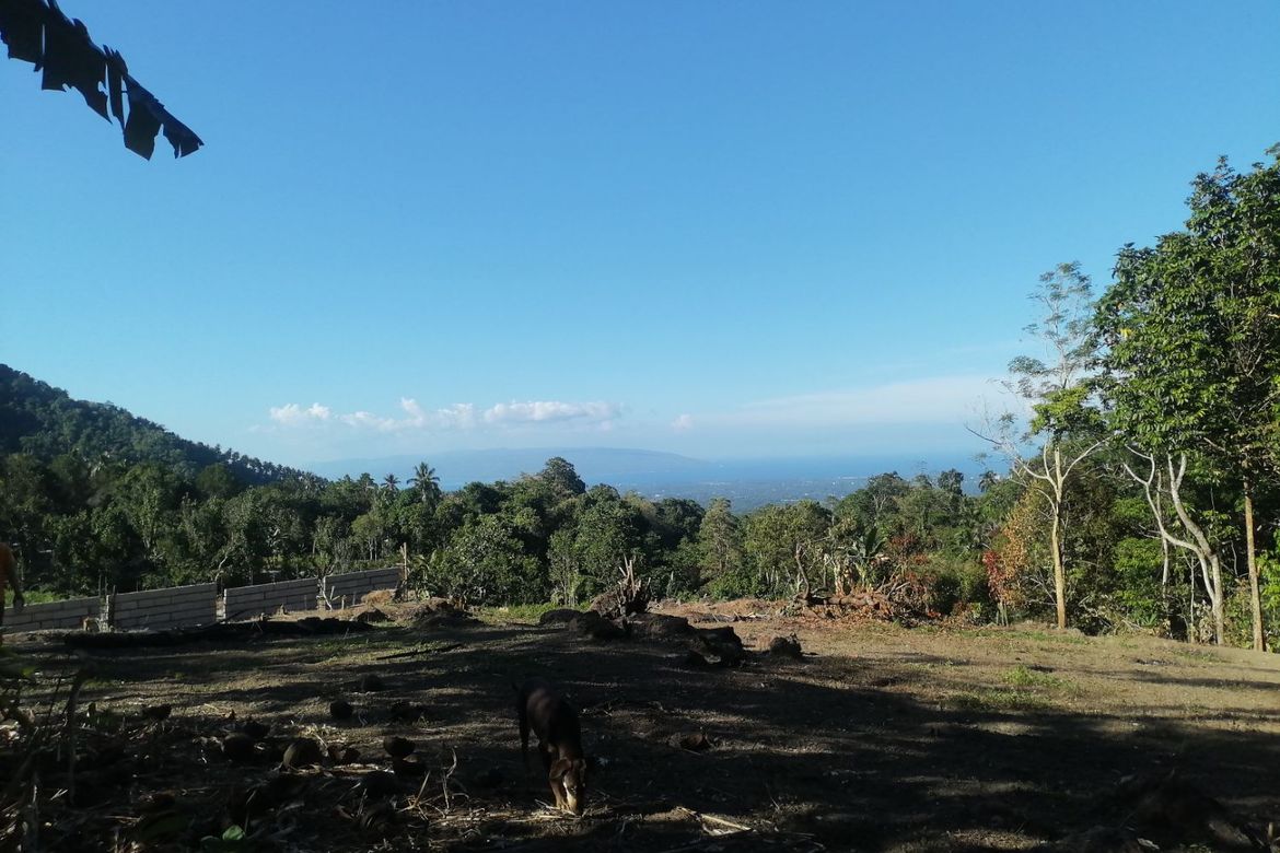 Land for Sale in Lunga, Valencia, Negros Oriental – photo 5