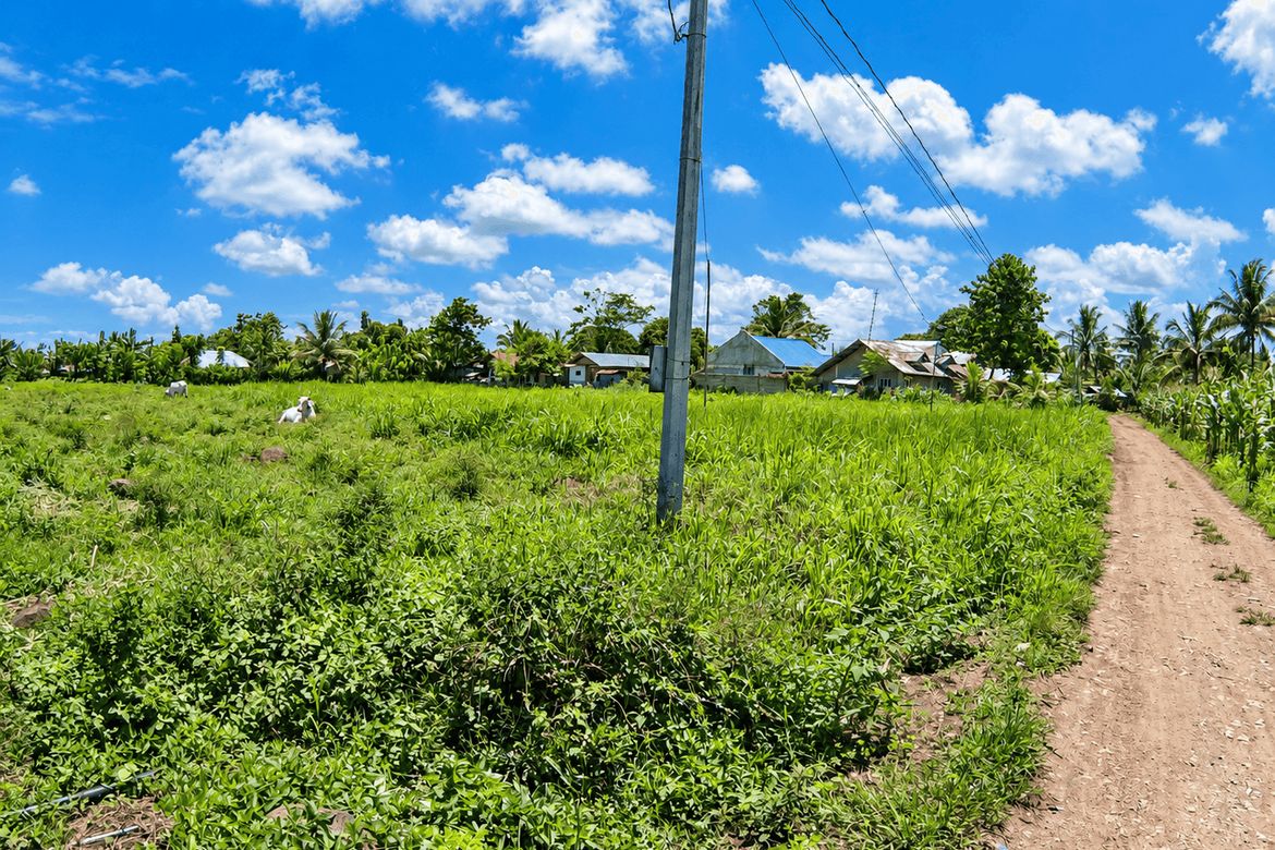 Land for Sale in Lunocan, Manolo Fortich, Bukidnon – photo 3