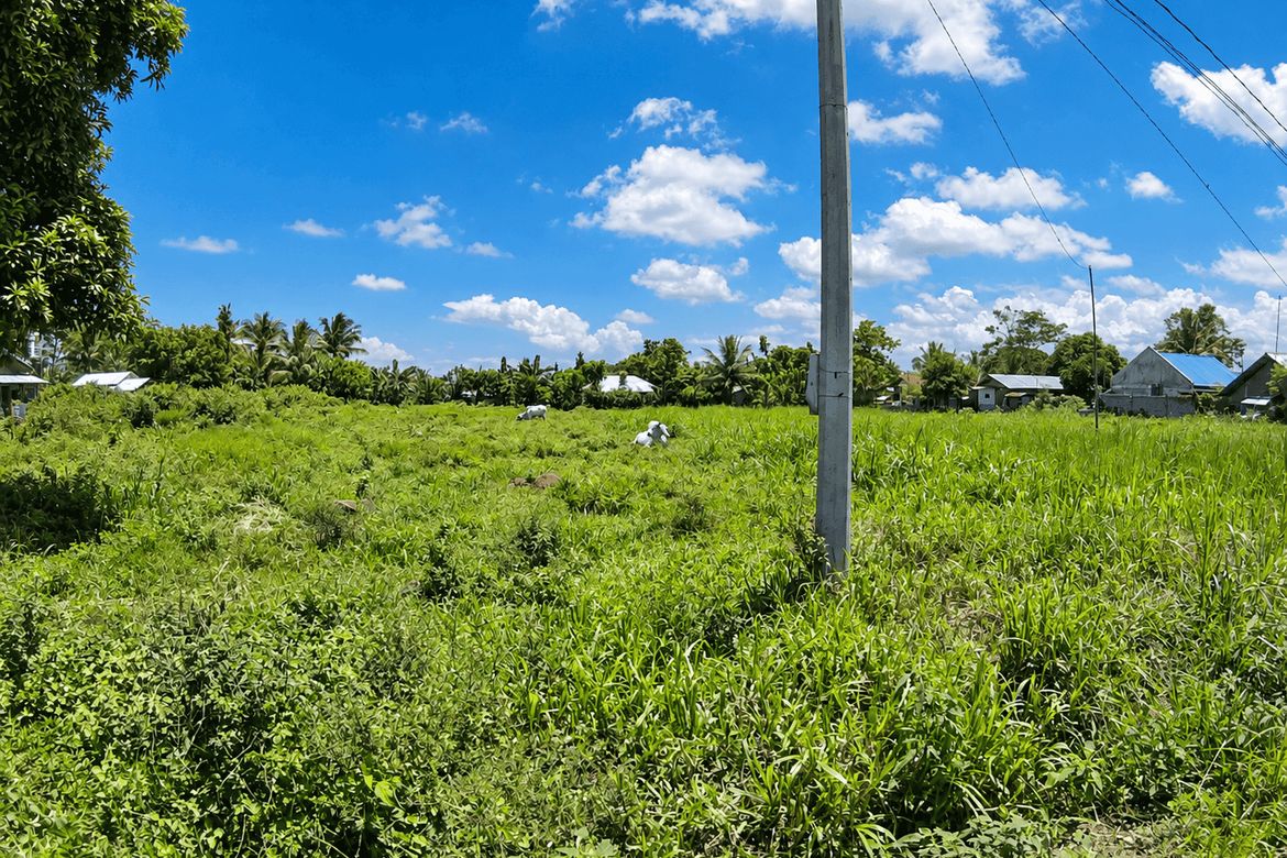 Land for Sale in Lunocan, Manolo Fortich, Bukidnon – photo 4