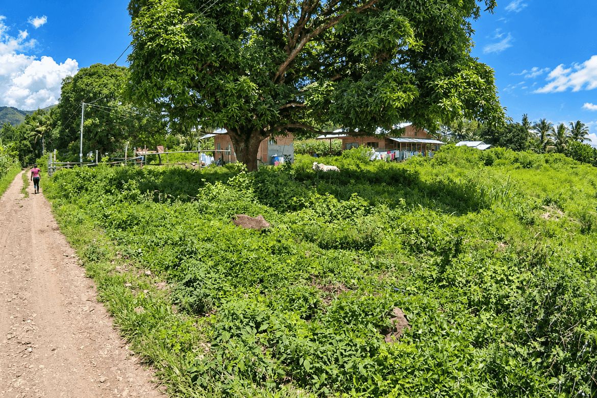 Land for Sale in Lunocan, Manolo Fortich, Bukidnon – photo 6
