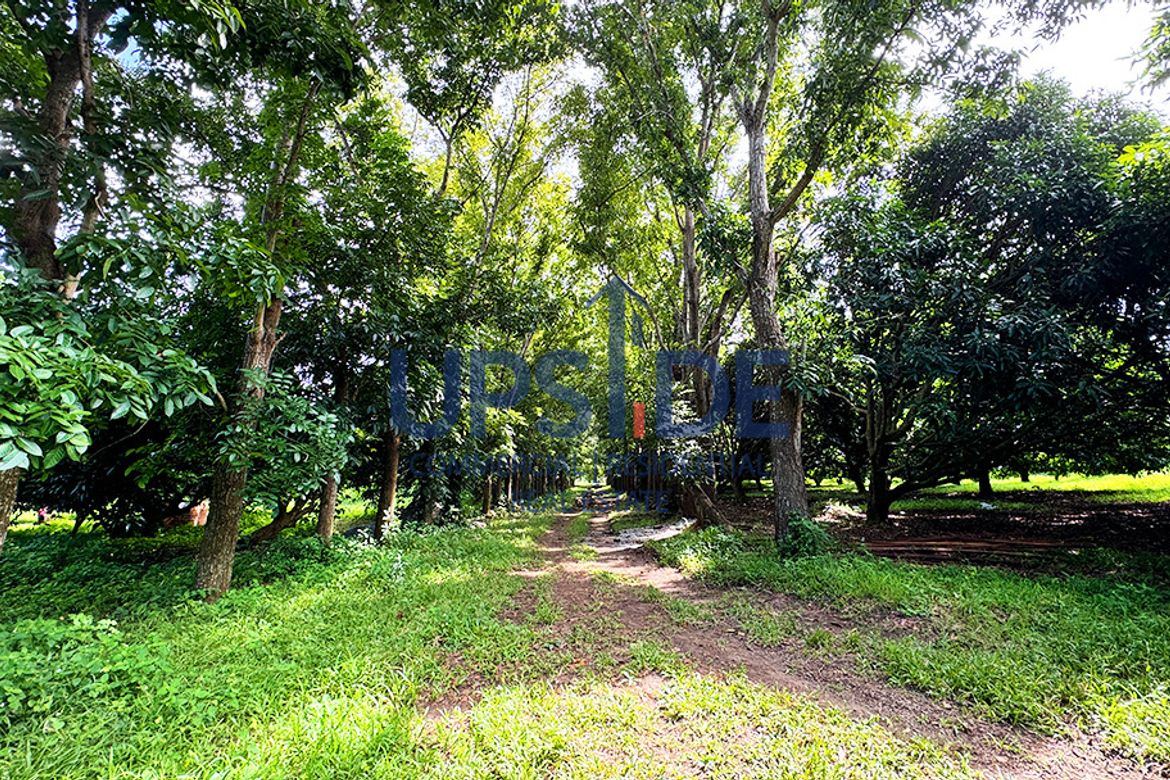 Land for Sale in Luta Del Sur, Malvar, Batangas – photo 5