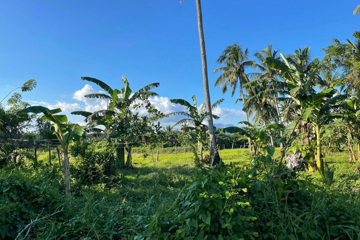 Land for Sale in Lutucan 1, Sariaya, Quezon – photo 2