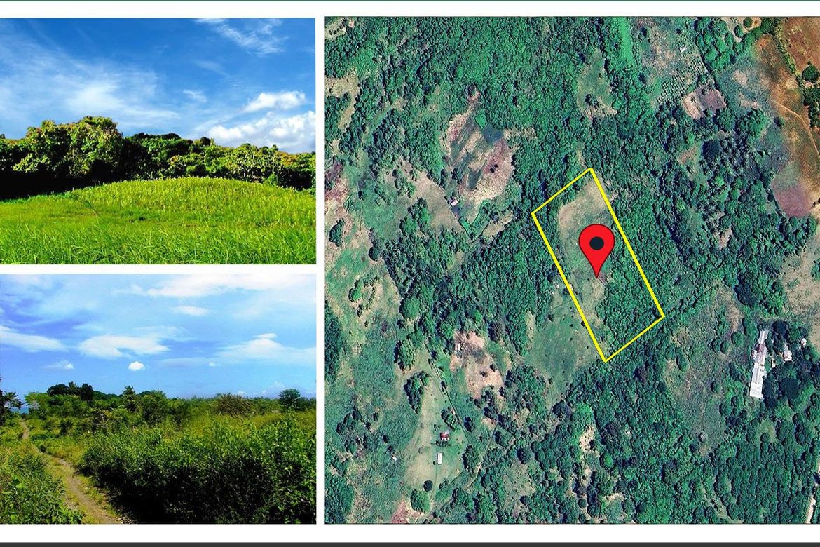 Land for Sale in Luzviminda, Puerto Princesa, Palawan