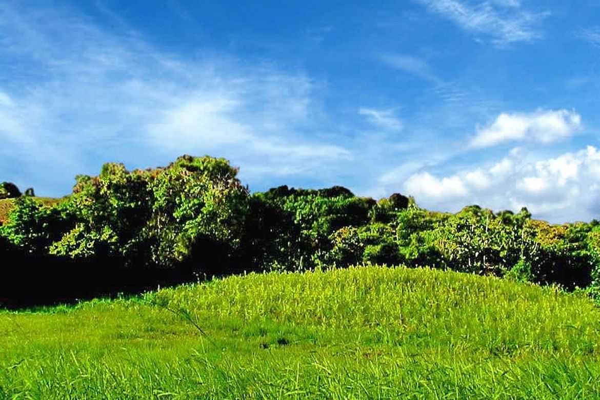 Land for Sale in Luzviminda, Puerto Princesa, Palawan – photo 3