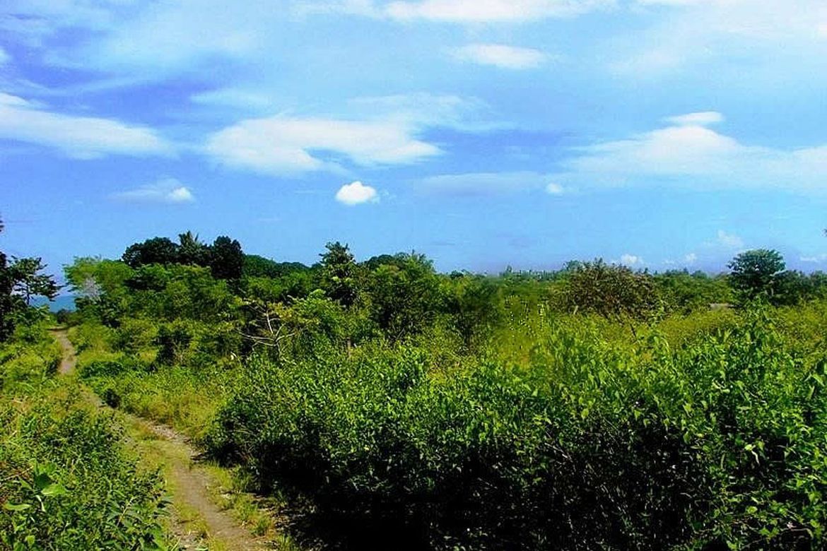 Land for Sale in Luzviminda, Puerto Princesa, Palawan – photo 8