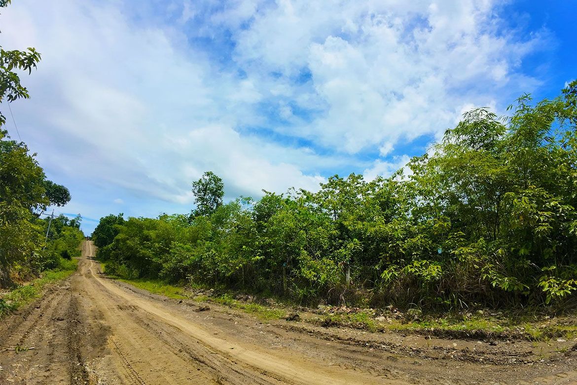 Land for Sale in Luzviminda, Puerto Princesa, Palawan – photo 5