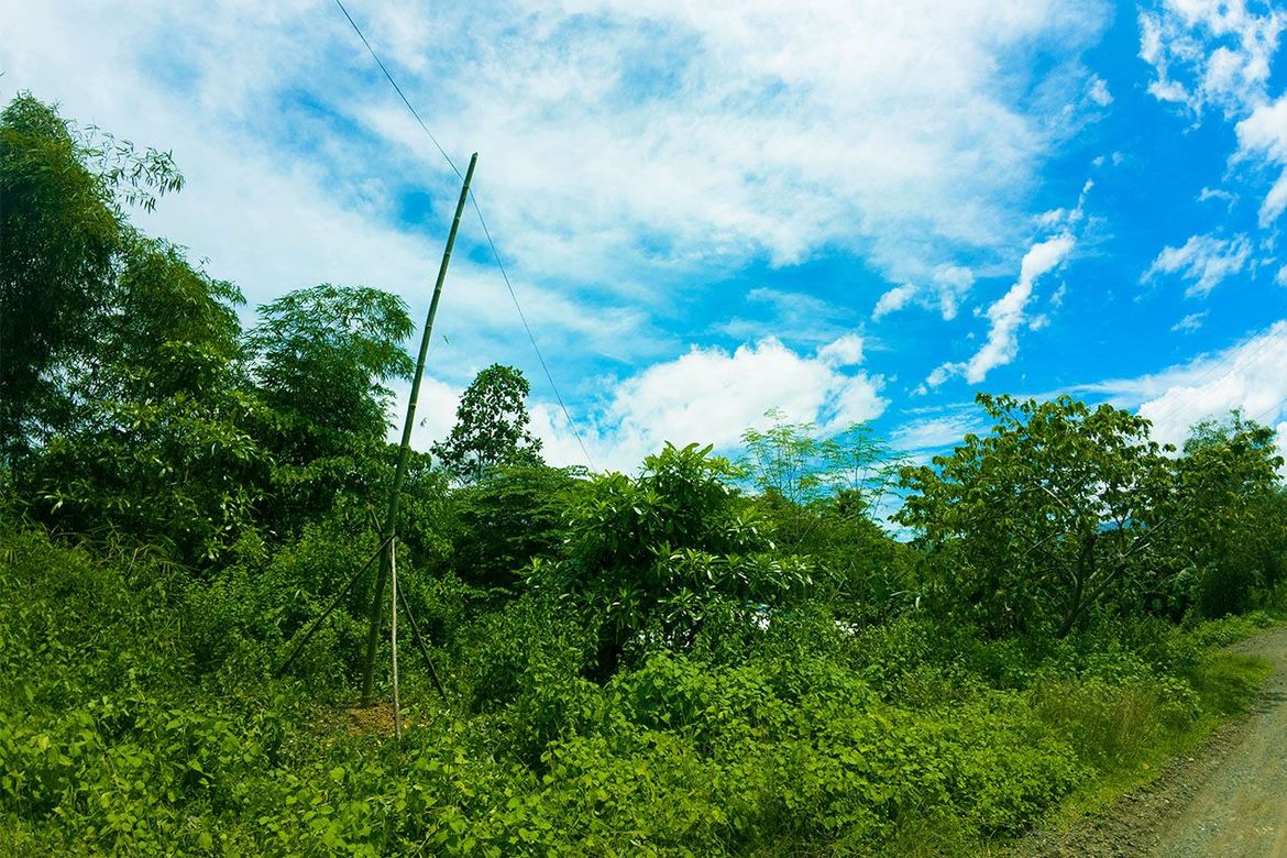 Land for Sale in Luzviminda, Puerto Princesa, Palawan – photo 8