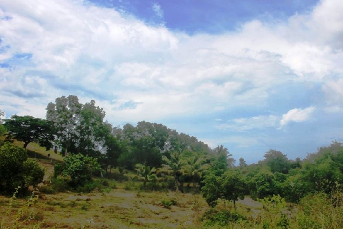 Land for Sale in Luzviminda, Puerto Princesa, Palawan – photo 3